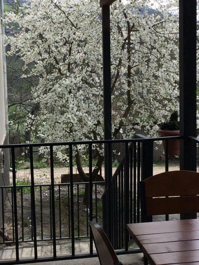 Four Seasons Apartment Sighnaghi Bagian luar foto